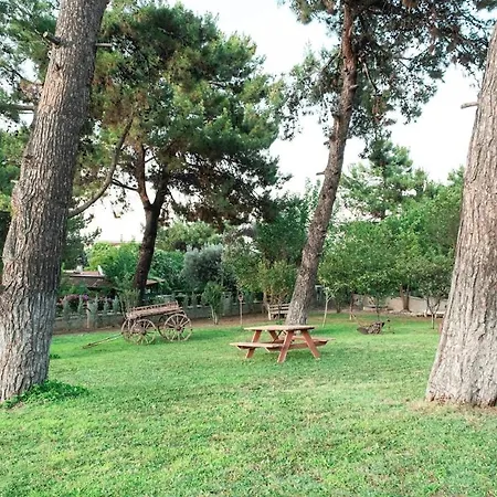 Private In The Forest With Pool And Jacuzzi Urla
